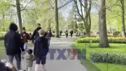 Vườn hoa Keukenhof Hà Lan mở cửa mùa xuân 2025, thu hút du khách toàn cầu
