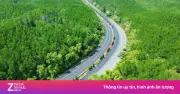 VnExpress Marathon Cần Giờ: Chạy Xuyên Rừng, Đón Bình Minh Trên Biển Dịp 30/4