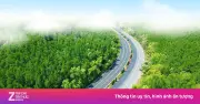 VnExpress Marathon Cần Giờ: Hành Trình Xuyên Rừng Ngập Mặn, Chạm Biển Bình Minh
