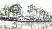 Vĩnh Viễn chuyển mình từ vùng căn cứ cách mạng thành quê hương trù phú