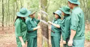 VRG: Từ nền tảng cao su vững chắc đến khát vọng vươn tầm quốc tế