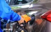 Xử phạt 390 triệu đồng ba thương nhân đầu mối vi phạm dự trữ xăng dầu