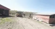 Xem video timelapse, POV thấy chóng mặt: Dấu hiệu bệnh hay phản ứng sinh lý bình thường?