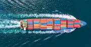 Xuất khẩu phân bón Việt Nam tăng mạnh quý I/2026, Thái Lan tăng 356%