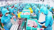 Xuất khẩu qua thương mại điện tử tăng mạnh, mở ra cơ hội vàng cho doanh nghiệp Việt