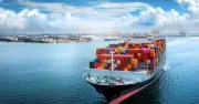 Xuất khẩu thanh long Việt Nam phục hồi mạnh, mở rộng thị trường mới năm 2026