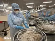 Xuất khẩu thủy sản quý I đạt 2,64 tỷ USD, tăng 8% so với cùng kỳ