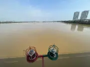 Xây dựng 2 đập trên sông Hồng và sông Đuống giúp giảm ngập lụt