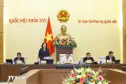 Ủy ban Thường vụ Quốc hội lấy ý kiến về thuế giá trị gia tăng đối với xăng dầu