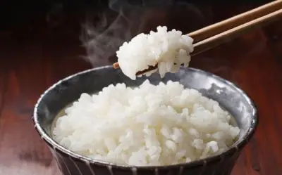Bỏ cơm giảm cân: Nguy cơ gan nhiễm mỡ và giảm tuổi thọ