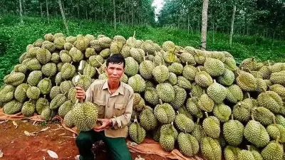 Bộ Nông nghiệp và Môi trường đẩy nhanh triển khai hệ thống truy xuất nguồn gốc nông sản