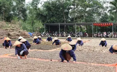Bảo tồn dược liệu bản địa: Mô hình kết hợp kinh tế và di sản