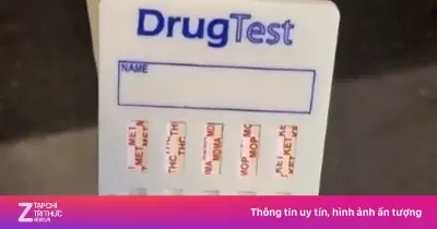 Cơ chế hoạt động và giới hạn của que thử ma túy test nhanh