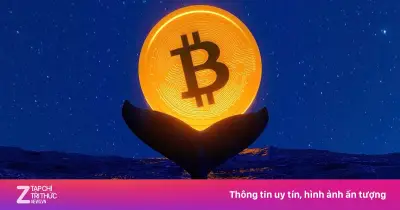 Cá voi Bitcoin thức giấc sau 10 năm, chuyển 40 triệu USD