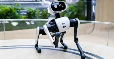 Chó robot Trung Quốc thu về gần 14 triệu USD sau 20 ngày: Bí quyết gây sốt