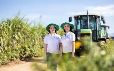 Chủ tịch AgriS đăng ký mua thêm 4,6% cổ phiếu SBT, củng cố quyền kiểm soát