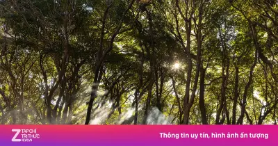 Cấm trekking tự phát tại nhiều đỉnh núi cao nhất Việt Nam