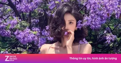 Côn Minh 'đau đầu' vì mùa phượng tím: 2 triệu người đổ về một con phố