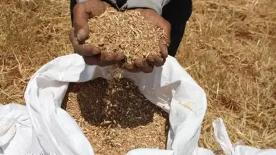 Cảnh báo khủng hoảng lương thực toàn cầu do tắc nghẽn eo biển Hormuz