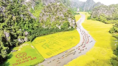 Cánh đồng lúa Tam Cốc: Từ nông nghiệp sang tài nguyên du lịch