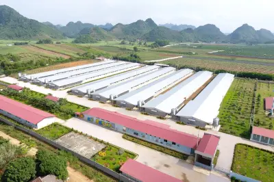 C.P. Việt Nam đẩy mạnh ứng dụng AI vào chuỗi nông nghiệp - thực phẩm