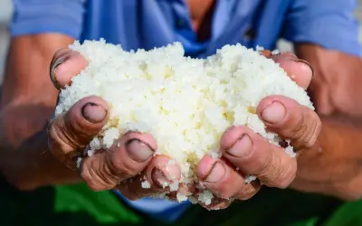 Diêm dân Thanh Hóa miệt mài giữa nắng 40 độ C cho vụ muối bội thu