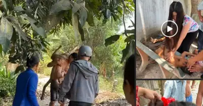 Giảng viên Đại học Trà Vinh ép tim cứu bé trai đuối nước