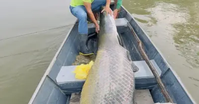 Hai anh em câu được cá khổng lồ nặng 130kg dài 2,2 mét trên sông