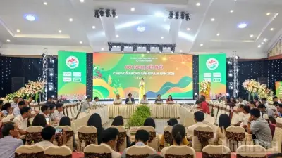 Hội nghị kết nối tiêu thụ nông sản Gia Lai: Mở ra cơ hội hợp tác dài hạn