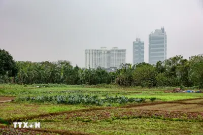 Hưng Yên: Đối tượng đào móc trộm hàng nghìn mét khối đất canh tác