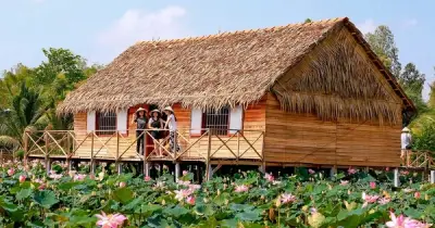 Homestay Tư Cá Linh giữa đồng sen: Trải nghiệm sống chậm ở Đồng Tháp