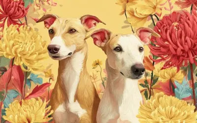 Không đẹp xuất sắc nhưng có duyên ngầm, 3 con giáp nữ khiến đàn ông gặp là muốn cưới ngay