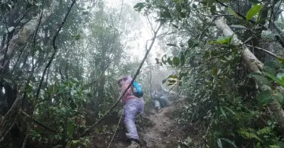 Lý do tạm dừng toàn bộ hoạt động leo núi tại 3 đỉnh Tam Đảo