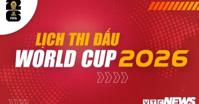 Lịch thi đấu World Cup 2026 mới nhất: Cập nhật chi tiết 104 trận