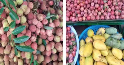 Lo ngại trái cây mùa hè gây mụn: Sự thật từ chuyên gia dinh dưỡng