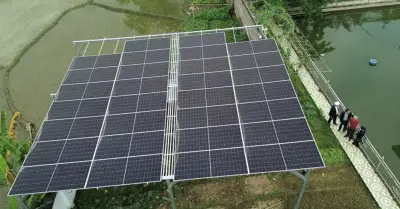 Lắp điện mặt trời mái nhà, hộ dân Lào Cai giảm tiền điện còn 300.000 đồng