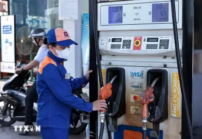 Nghiên cứu kinh nghiệm quốc tế phát triển nhiên liệu sinh học tại Việt Nam