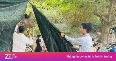 Đà Nẵng chấn chỉnh lều trại tự phát quanh bán đảo Sơn Trà