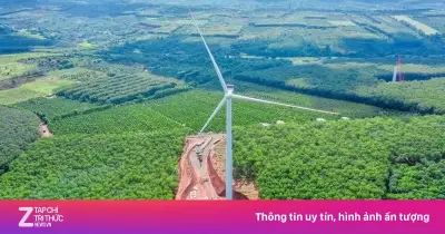 PC1 tham gia thế nào tại các siêu dự án điện quốc gia?