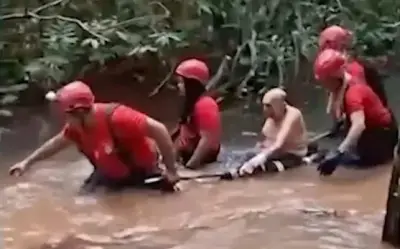 Phi công 72 tuổi sống sót sau va chạm với kền kền, lạc trong rừng rậm Brazil