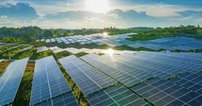Pin mặt trời trên xe van tạo ra công suất vượt mức thiết kế 120%