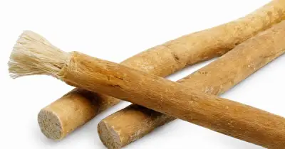 Que nhai miswak: Dụng cụ vệ sinh răng miệng hàng trăm năm tuổi có gì hay?