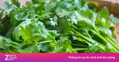 Rau mùi: Gia vị thơm ngon, bổ não dưỡng tim hiệu quả