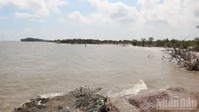 Sạt lở bờ biển nghiêm trọng tại Trà Vinh, hàng trăm hộ dân mất nhà cửa
