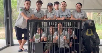 Thử thách ngủ trong lồng sắt: Trải nghiệm đau đớn của gấu bị nuôi lấy mật