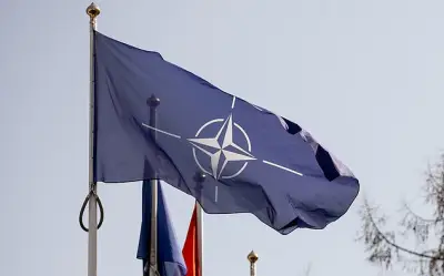 Tướng Séc khẳng định Ukraine nên trở thành thành viên NATO