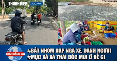 Toàn cảnh 17h: Truy đuổi đánh người, Trang Pháp tại Đạp gió, Mỹ-Iran