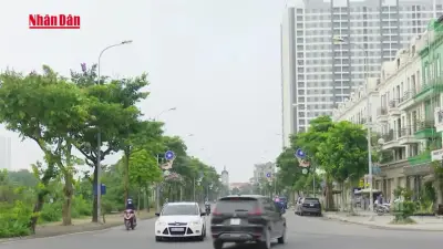 TP.HCM cấm xe xăng chạy dịch vụ công nghệ trong vùng phát thải thấp