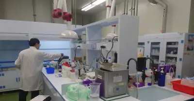 Trường đại học đình chỉ giáo sư để điều tra sau vụ nghiên cứu sinh tự tử
