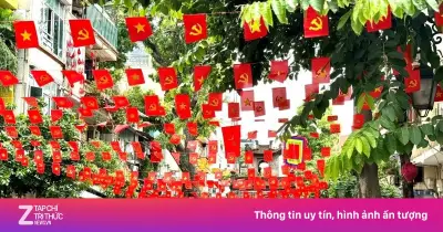 Trình tự, thủ tục, hồ sơ thành lập, sắp xếp thôn, tổ dân phố theo Nghị định 185/2026/NĐ-CP